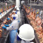 Linha de produção em frigorífico com colaboradores uniformizados processando carnes em ambiente industrial, cenário que exige medidas rigorosas de prevenção contra incêndio em frigoríficos.